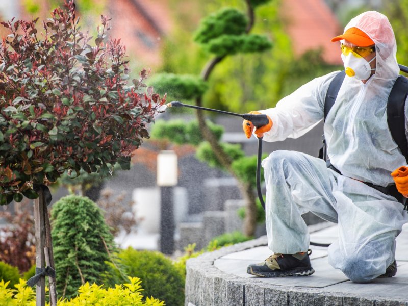 Tortum Haşere İlaçlama